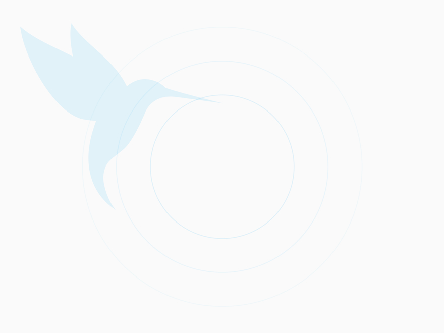 Scopri di più sull'articolo Lorem ipsum